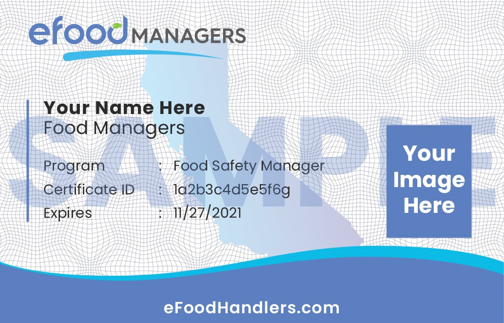 EFoodHandlers Contact Us For Your Food Handlers Card