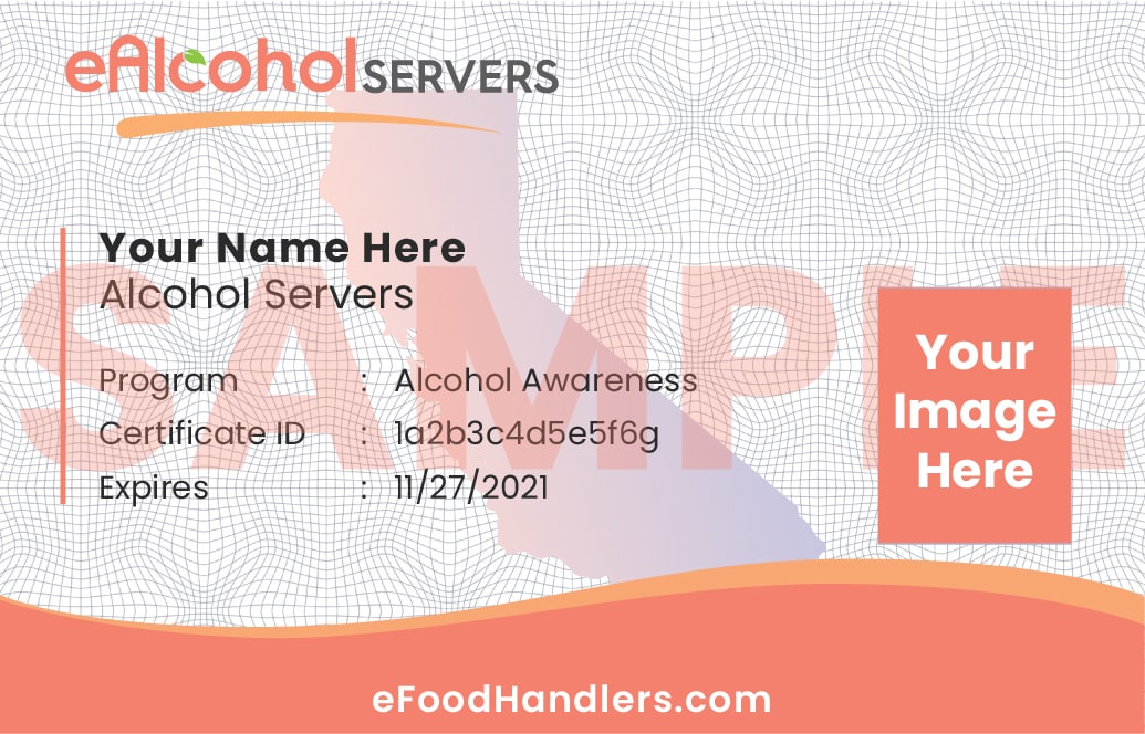 Food Handler Card